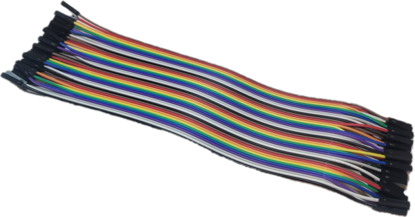 Dupont Connector - 20CM Female-to-Female (40 wires per bundle)